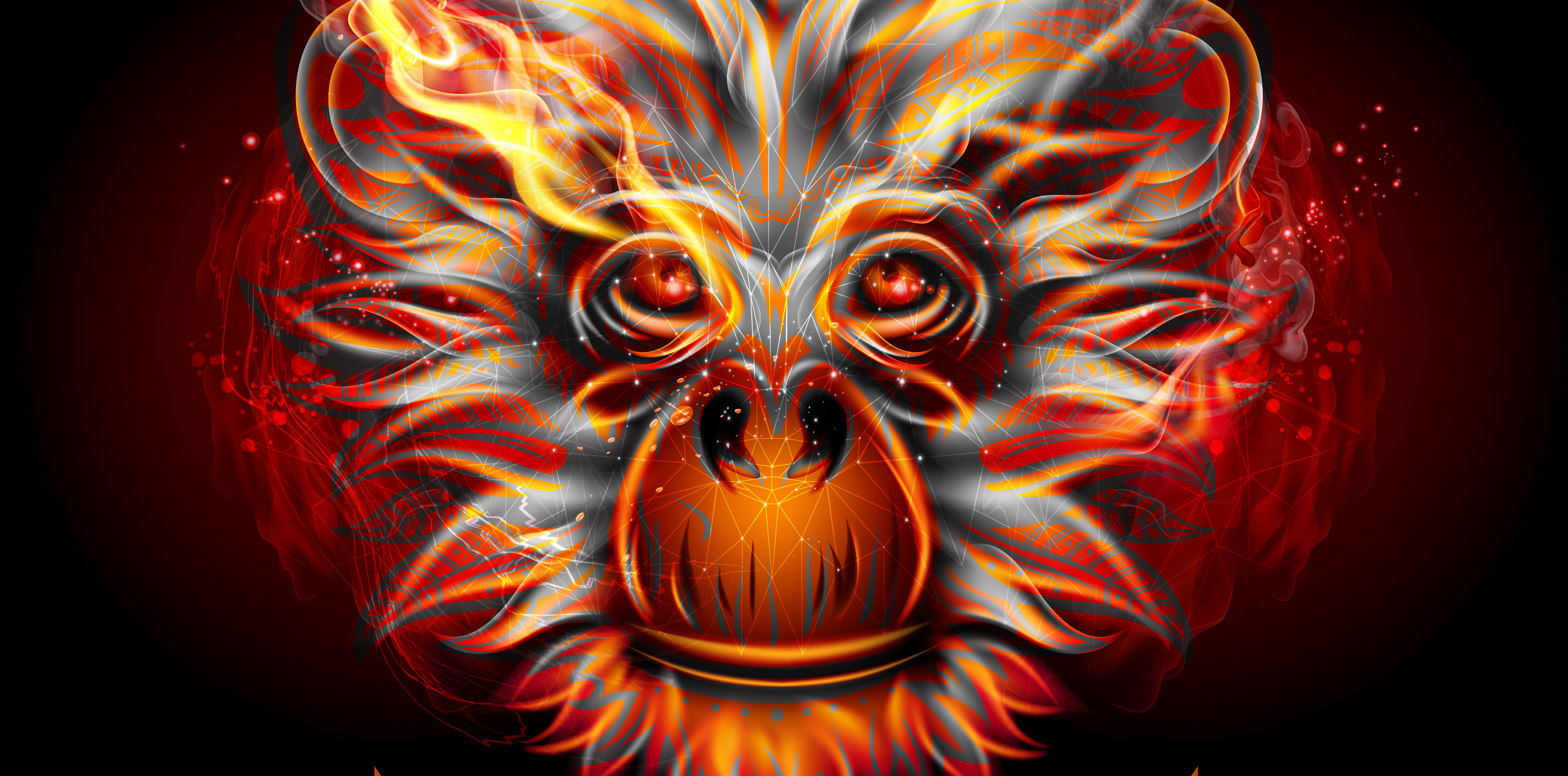 Chinese New Year: Year of the Fire Monkey