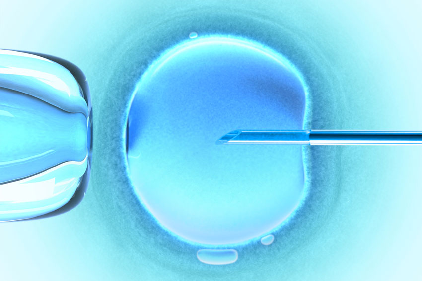 Therapeutic Effects of Acupuncture on In Vitro Fertilization
