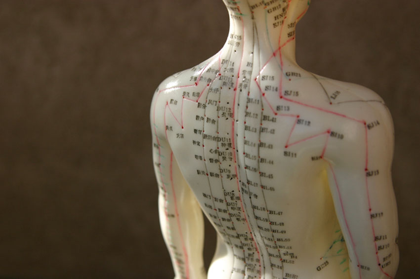 How Acupuncture Works: Examining the Mechanisms